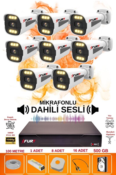 Fury 8 Kameralı Sesli 6 Warm Led Gece Renkli Görüş Su Geçirmez Güvenlik Kamerası Seti 500GB