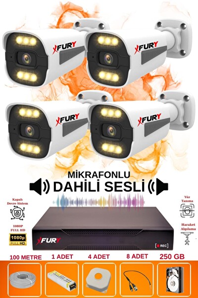 Fury 4 Kameralı Sesli 6 Warm Led Gece Renkli Görüş Su Geçirmez Güvenlik Kamerası Seti 250GB