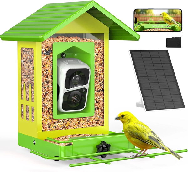 APS Kameralı Güneş Panelli Metal Kuş Yemliği 2K HD Sarı Yeşil