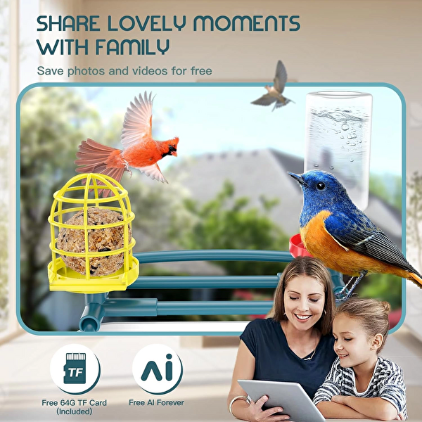 Broaimx Güneş Enerjili Kameralı Kuş Yemliği Ücretsiz Yapay Zeka Pus Mavisi