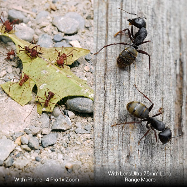 Shiftcam LensUltra 75MM Uzak Çekim Lens