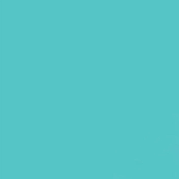 GDX Seyyar Kağıt Sonsuz Stüdyo Fon Perde Baby Blue 2.70x11 Metre