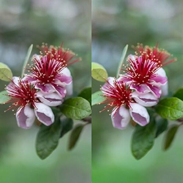 Hoya Variable Density II 82 MM ND Filtre (1.5 - 9 Stop)
