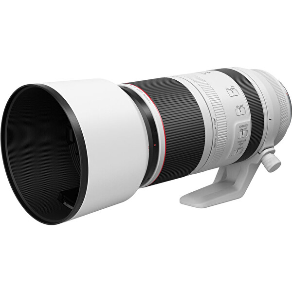 Canon RF 100-500MM F / 4.5-7.1L IS USM Lens