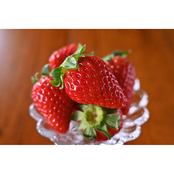 Nikon Nikkor Z DX 24MM F/1.7 Lens