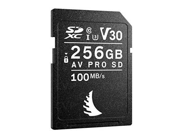 Angelbird AV Pro V30 256GB SD Kart