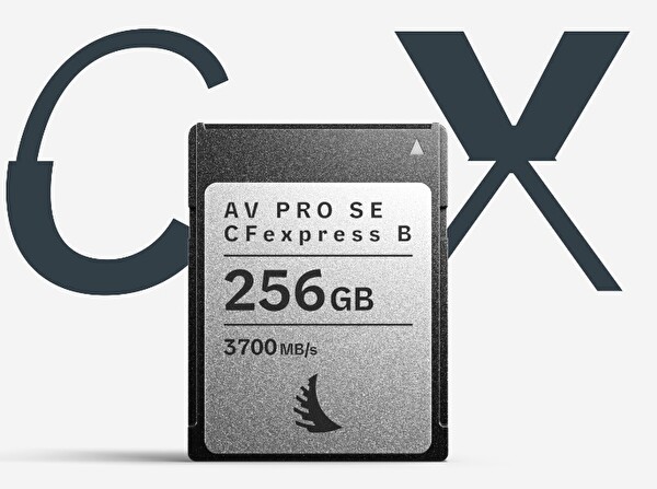 Angelbird 256 GB CFExpress V4 B Tipi Hafıza Kartı