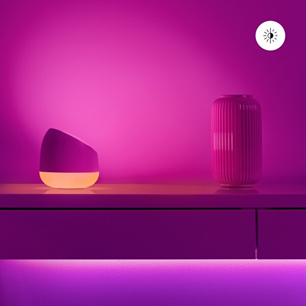 Wiz Squire Renkli Ambiyans Akıllı Masa Lambası