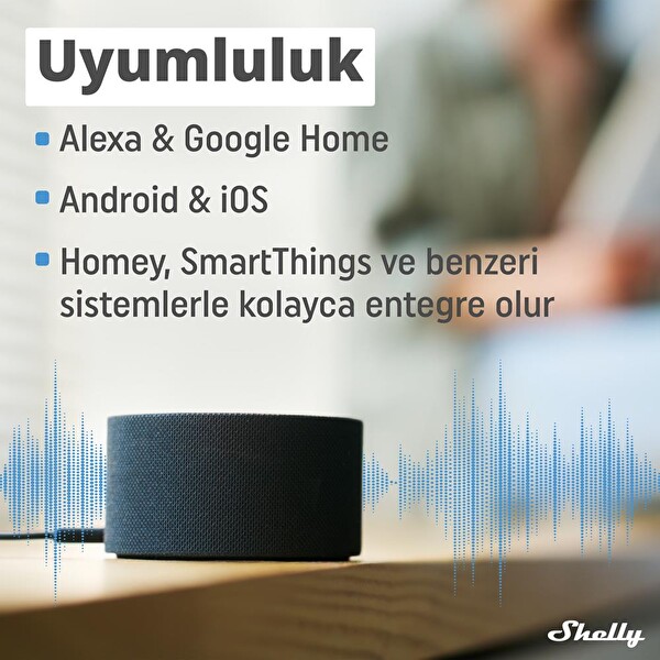 Shelly Plus 1 Wi-Fi ve Bluetooth Akıllı Röle