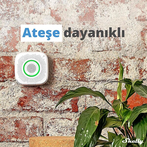 Shelly GAS Akıllı CNG Gaz Dedektörü