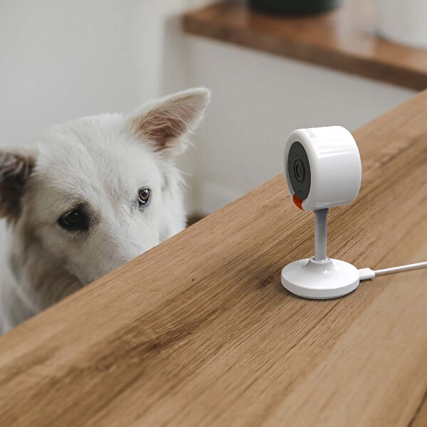 Bilicra Iris Mini 3 MP Akıllı Kamera