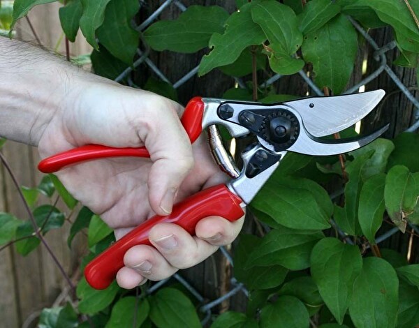 Felco 10 Budama Makası 21CM Sol By-pass