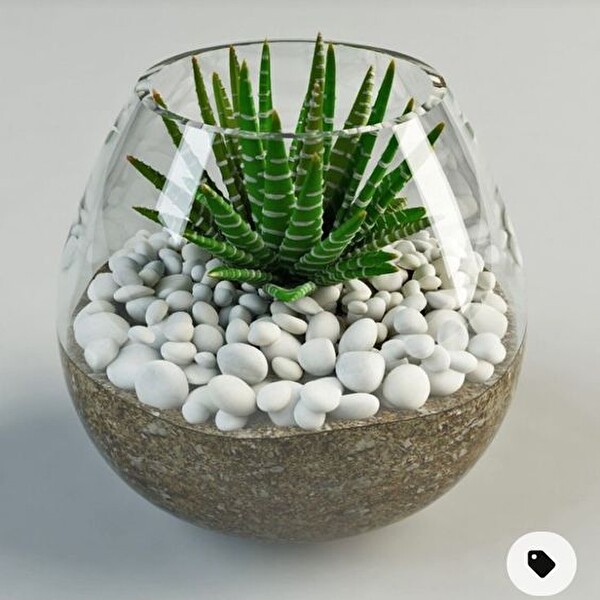 T-May Beyaz Dolomit Taşı 25 KG 2-4 CM Bahçe Süsü ve Akvaryum Dekorasyonu için Dere Çakılı