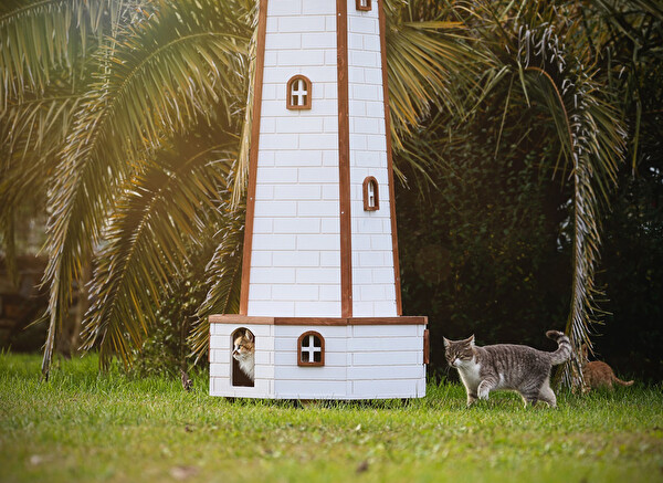 Mandu Ahşap Yel Değirmenli Kedi Evi