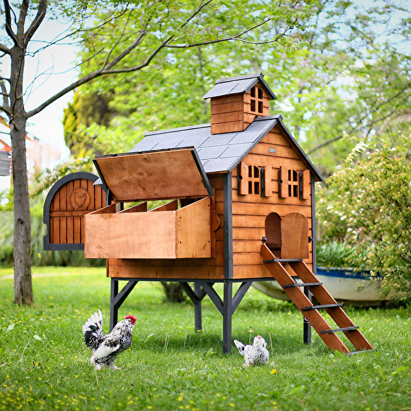 Mandu Ahşap Tavuk Kümesi - 16 Tavuk Kapasiteli