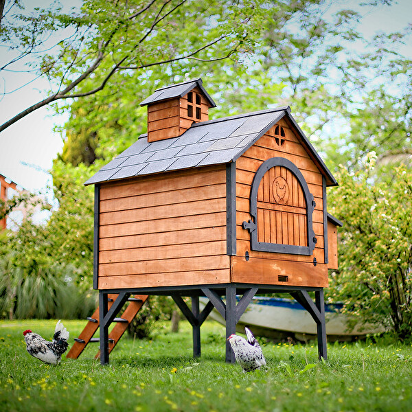 Mandu Ahşap Tavuk Kümesi - 16 Tavuk Kapasiteli