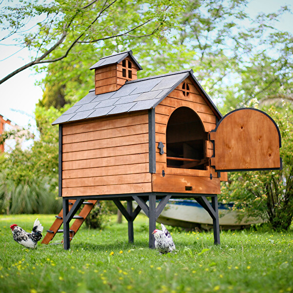 Mandu Ahşap Tavuk Kümesi - 16 Tavuk Kapasiteli