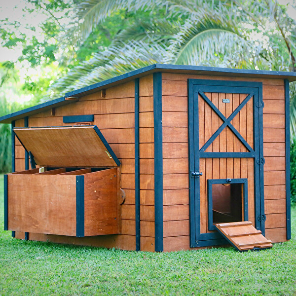 Mandu Ahşap Tavuk Kümesi - 30 Tavuk Kapasiteli