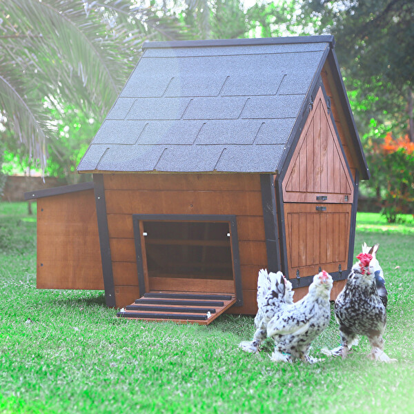 Mandu Ahşap Tavuk Kümesi - 10 Tavuk Kapasiteli