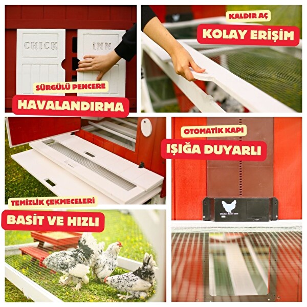 Mandu Ahşap Bahçeli Tavuk/Kuş Kümesi (Mini Çiftlik)