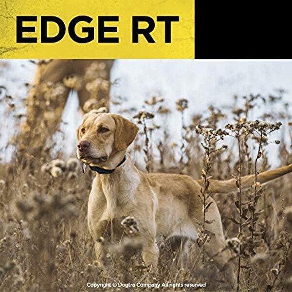 Dogtra Edge RT Uzun Menzilli Yüksek Çıkışlı Uzaktan Köpek Eğitimi