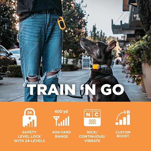 Dogtra Cue E-Yaka Su Geçirmez Şarj Edilebilir Köpek Eğitim Tasması