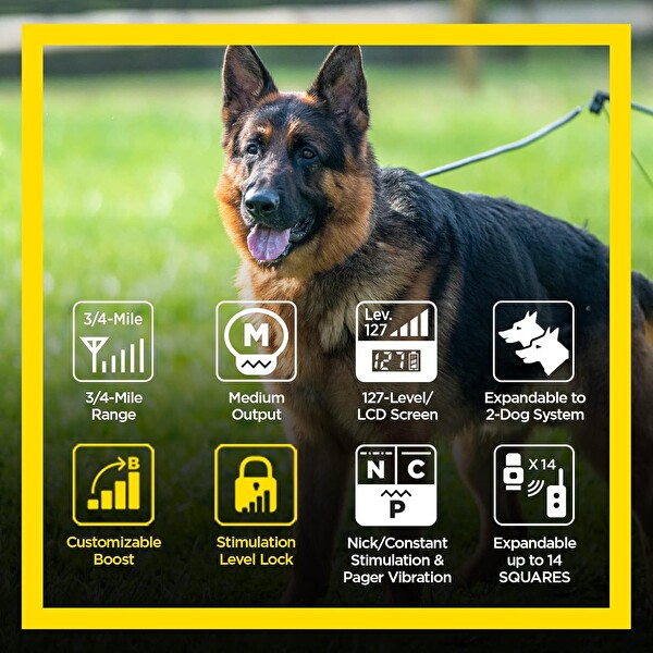 Dogtra ARC Handsfree Plus Güçlendirme ve Kilitleme Uzaktan Köpek Eğitimi