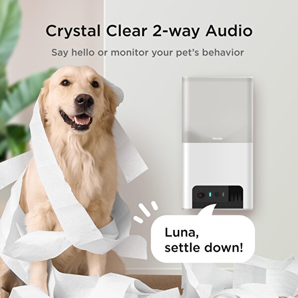 Petcube Bites 2 Lite WiFi Evcil Hayvan İzleme Kamerası- Otomatik Mama Kabı