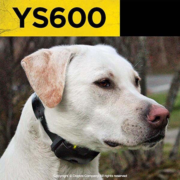 Dogtra Ys600 Şarj Edilebilir Su Geçirmez Yüksek Çıkışlı Havlamayan Tasma