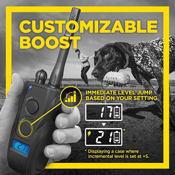 Dogtra 1900s Black Güçlendirme ve Kilitleme E-Yaka Uzaktan Köpek Eğitmeni