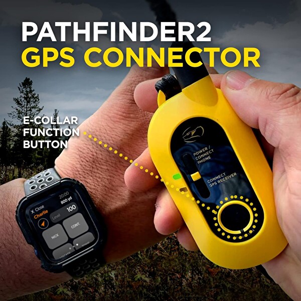 Dogtra Pathfinder 2 GPS Köpek Takip Cihazı ve Yaka Led Işık