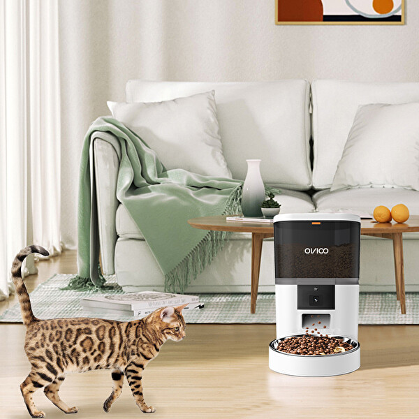 Ovioo QQ005 6 L Kameralı ve Uzaktan WiFi Bağlantılı Paslanmaz Kaseli Kedi ve Köpek Besleyici
