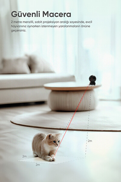 Şımart Akıllı Kedi Oyuncağı