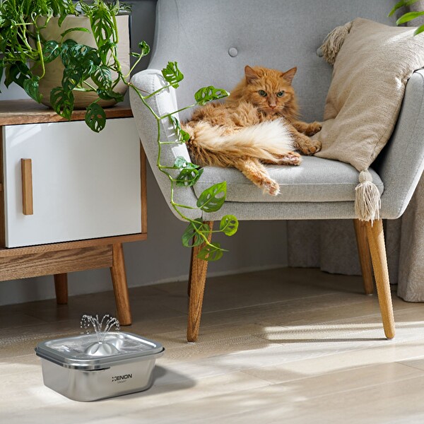 Xenon Smart Akıllı Otomatik Kedi Köpek Kameralı Beyaz Mama Kabı Ultra Sessiz Çelik Su Pınarı ve Yedek Filtre 3'lü Set