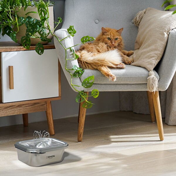 Xenon Smart Akıllı Otomatik Kedi Tuvaleti Mama Kabı Led Işıklı Su Pınarı İç Mekan Kamera ve Yedek Filtre 5'li Pet Set