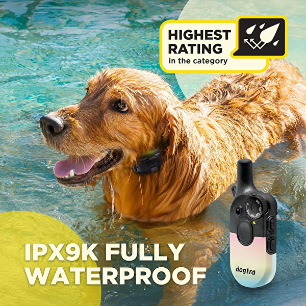 Dogtra 200iQ Uzaktan Eğitim E-Tasması 4.5+ KG Köpekler - Gün Batımı