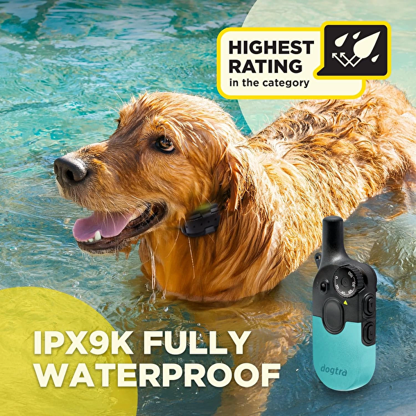 Dogtra 200iQ Uzaktan Eğitim E-Tasması 4.5+ KG Köpekler - Turkuaz