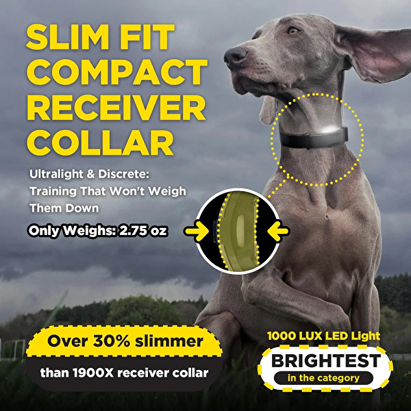 Dogtra ARC-X E-Collar Eğitimi Tasması - 34 Mil 7.5+ KG Köpekler