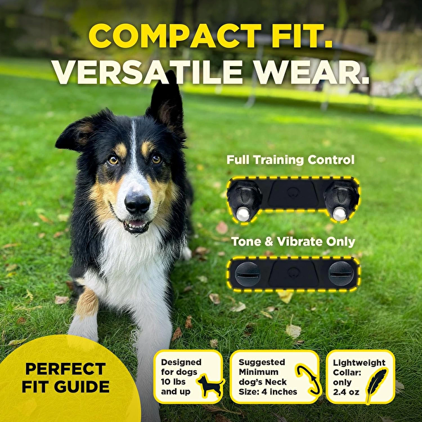 Dogtra 200iQ Uzaktan Eğitim E-Tasması 4.5+ KG Köpekler - Gri