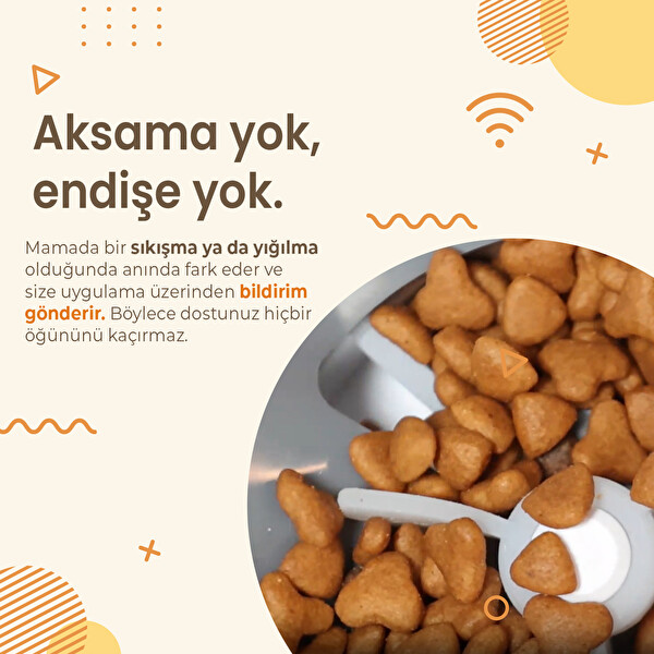 Haustier QQ009-Dual FHD Kameralı Akıllı Otomatik Kedi Mama Kabı Beyaz (Türkiye Garantili)