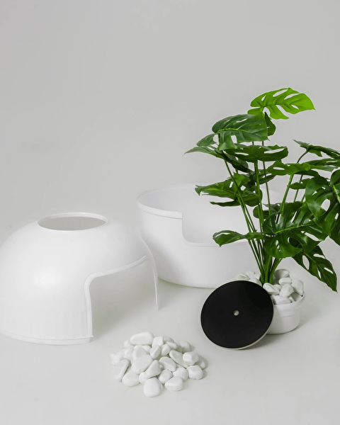 Reyo Dekorapet Dekoratif Kedi Tuvaleti - Beyaz