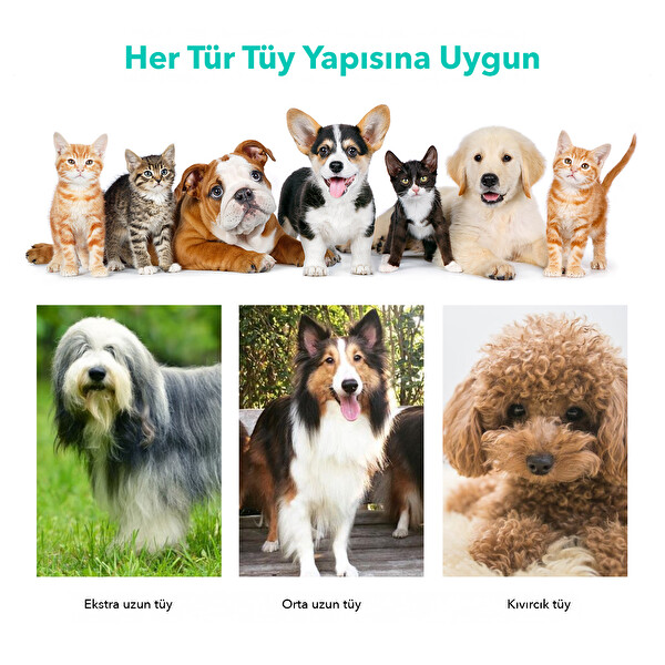 Neakasa P1 Pro Kedi ve Köpek Tıraş Makinesi Bakım Kiti