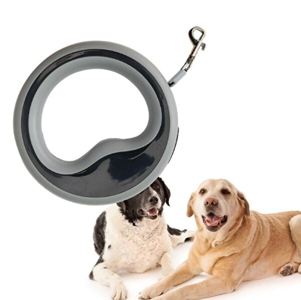 Süslü Pati 2.5 M Otomatik Köpek Gezdirme Tasması