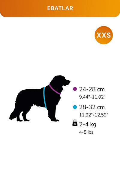 Gobypet Kediler Ve Köpekler İçin Rahat Dayanıklı Kırmızı Göğüs Tasması XXS