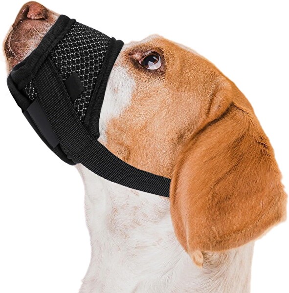 Valkyrie Fileli Nefes Alabilen Ayarlanabilir Cırtlı Güvenli Köpek Ağızlığı M Beden