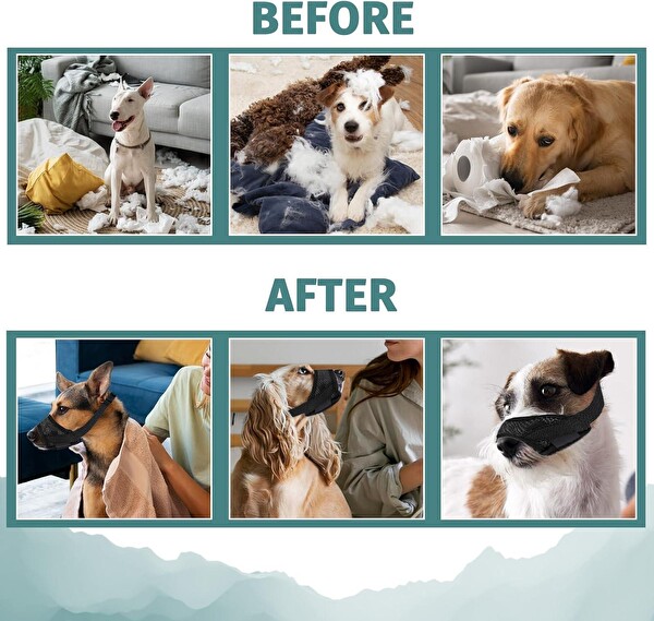 Valkyrie Fileli Nefes Alabilen Ayarlanabilir Cırtlı Güvenli Köpek Ağızlığı M Beden
