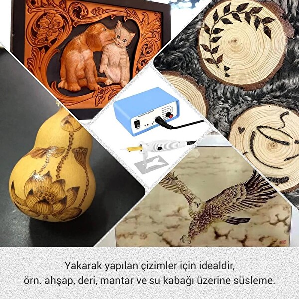 Class ZD-8905 New Isı Ayarlı Ahşap Yakma Makinesi