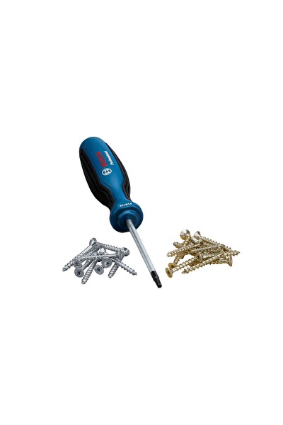 Bosch Profesyonel Torx Tornavida TX15X75