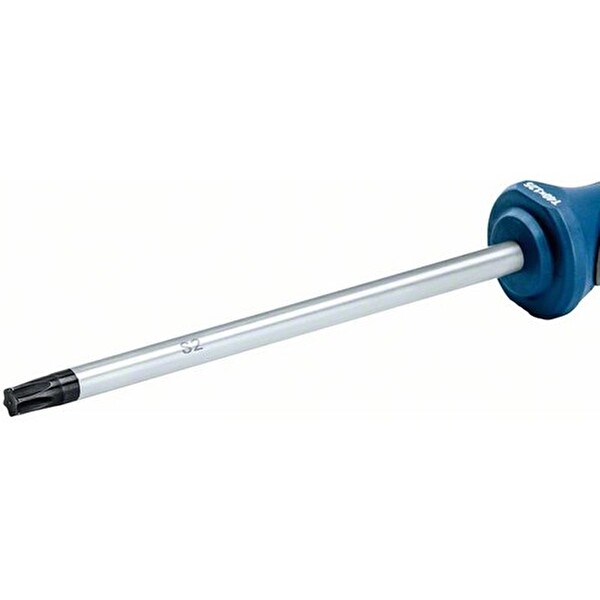 Bosch Profesyonel Torx Tornavida TX40X125