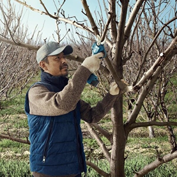 Bosch Professional Pro Pruner (Solo) Bahçe Makası